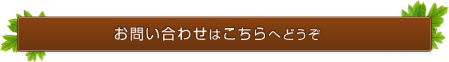 お問い合わせはこちらへどうぞ